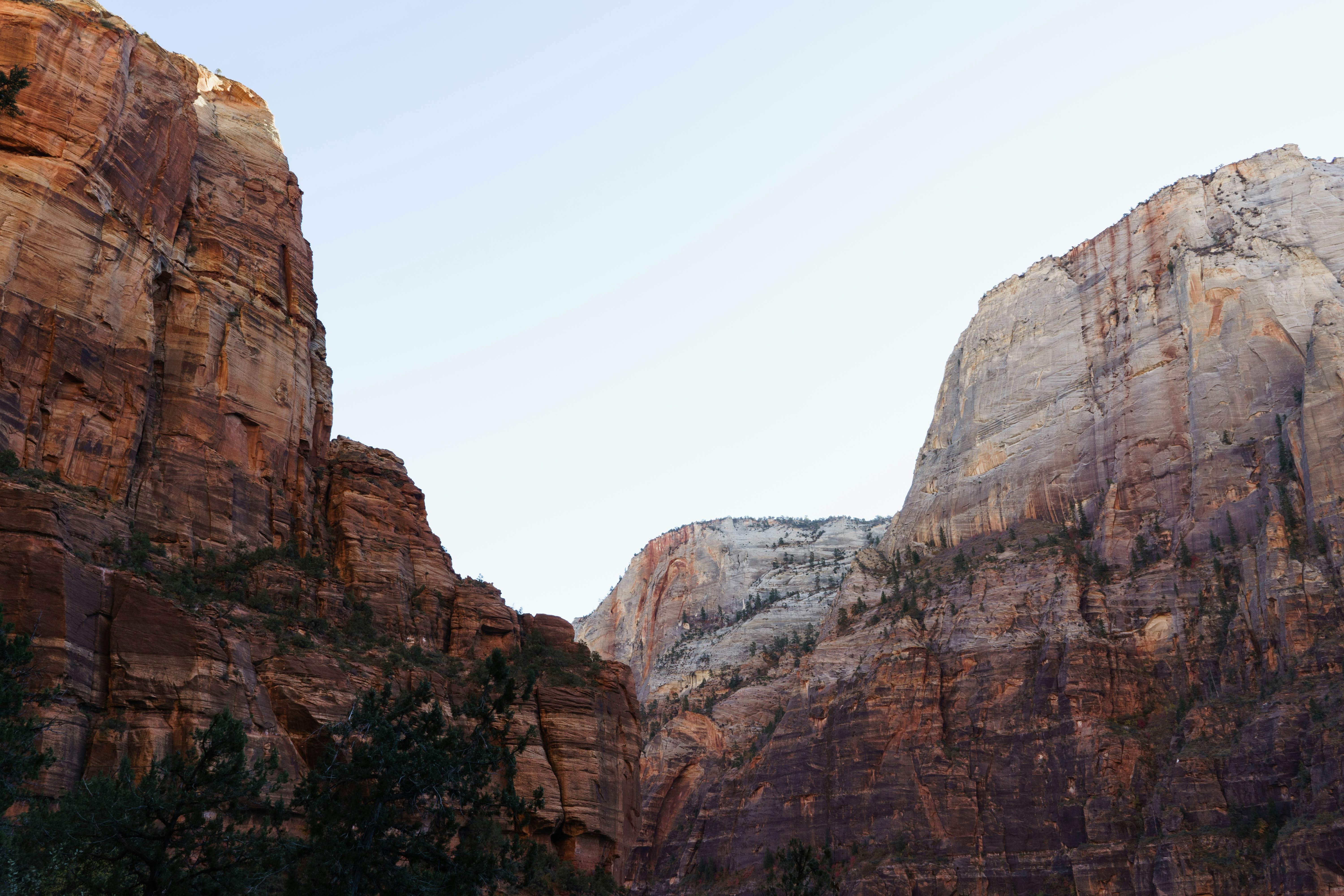 Canyon cliffs under a pale sky